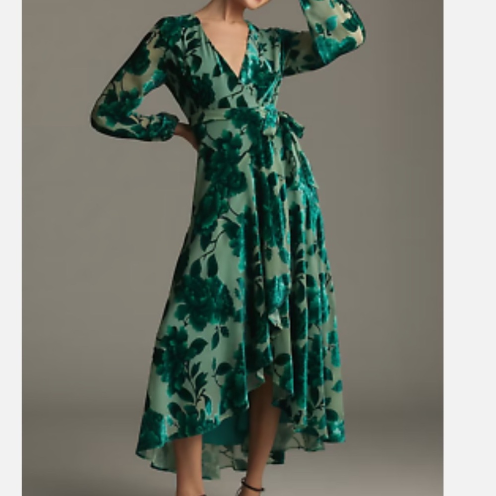 New Anthropologie Hutch Long-Sleeve Wrap Dress, Burnout Velvet